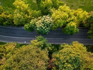 Politique environnementale - Ottawa